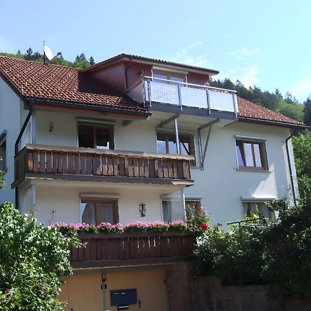 Haus Michler Apartment Todtnau Exterior photo