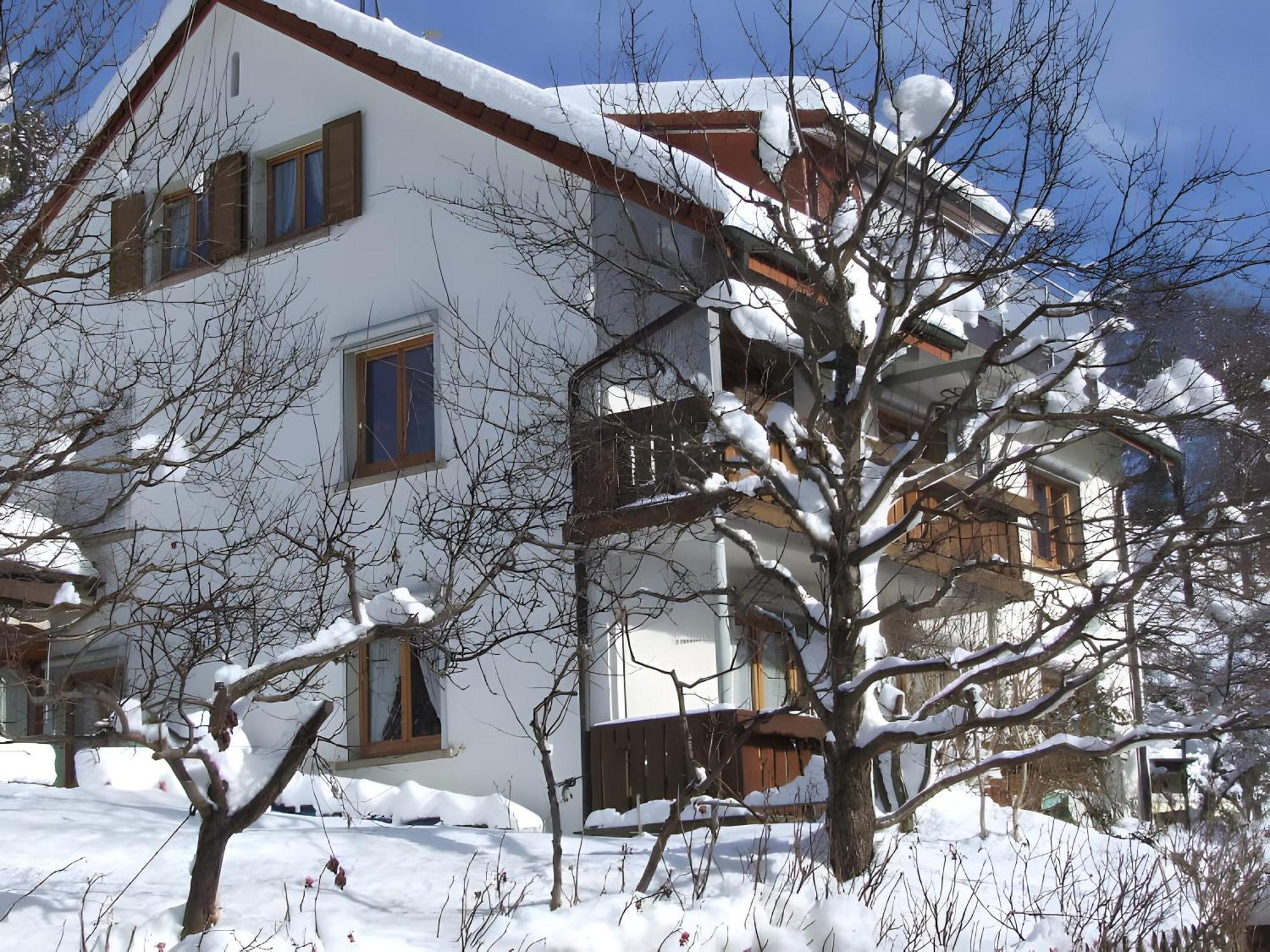 Haus Michler Apartment Todtnau Exterior photo